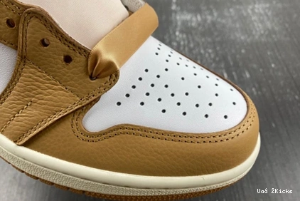 High Efficient (Women's)  Praline FN6622- OG 1 Retro 7117 69 Jordan 1109